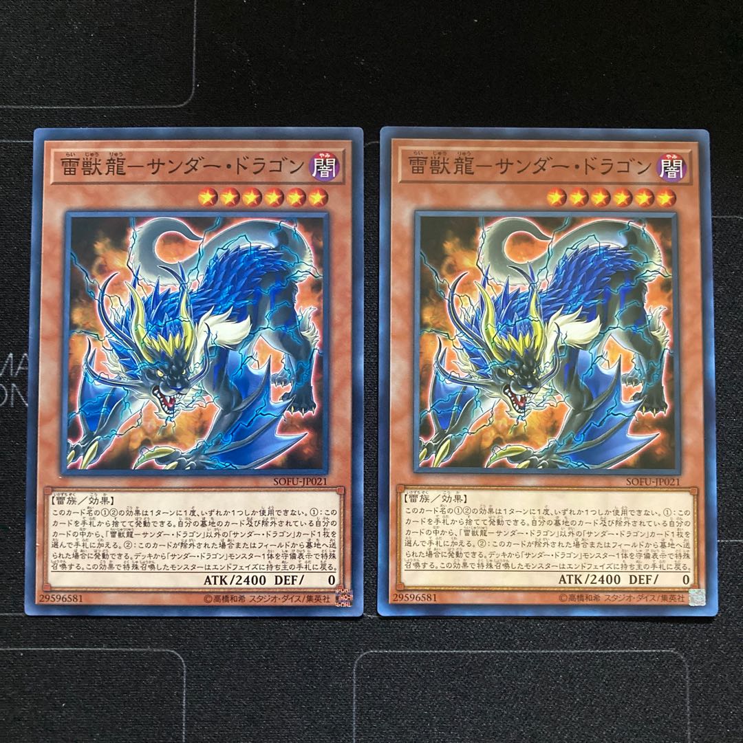 雷獣龍-サンダー・ドラゴン