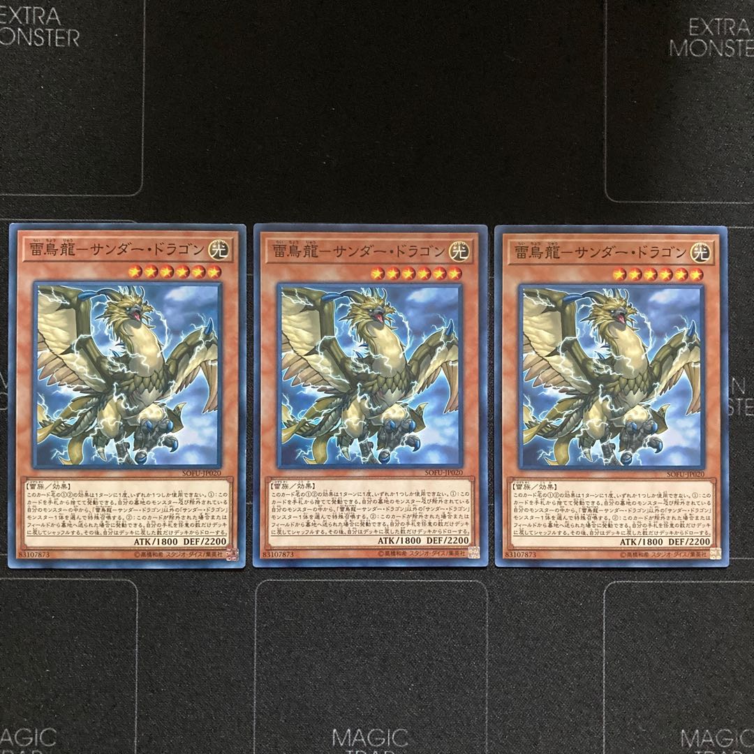 雷鳥龍-サンダー・ドラゴン