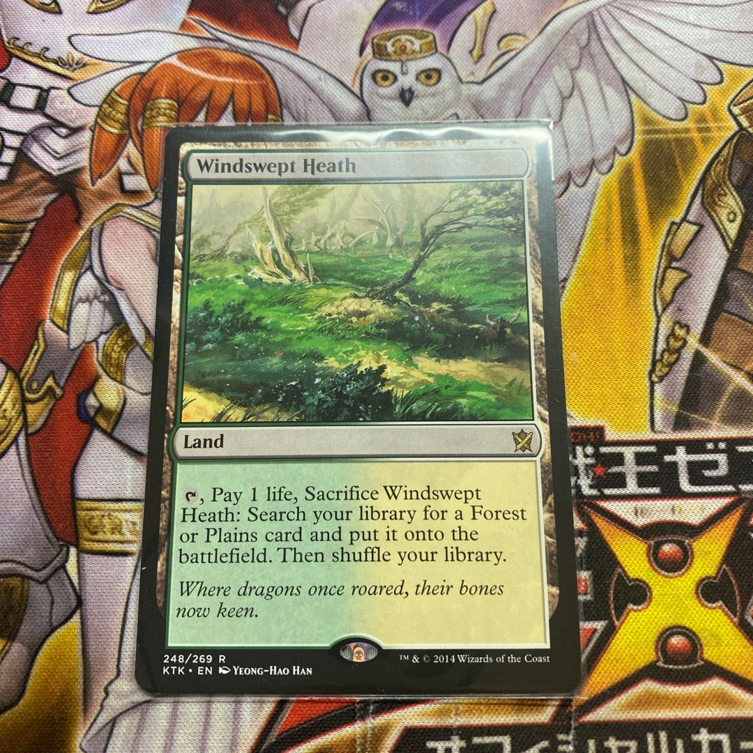 吹きさらしの荒野　英語