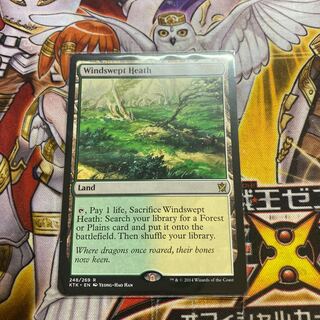 吹きさらしの荒野　英語