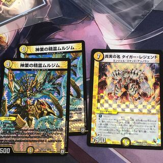 真実の名 タイガー・レジェンド