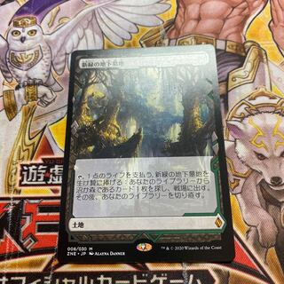 新緑の地下墓地　ゼンディカーエクスペディション