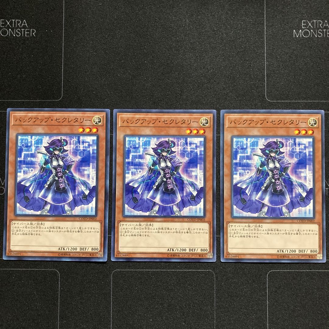 バックアップ・セクレタリー ノーマル