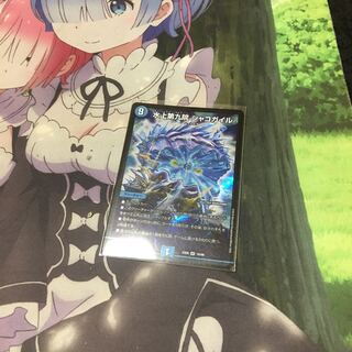 水上第九院 シャコガイル SR