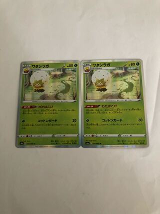 ワタシラガ2枚セット