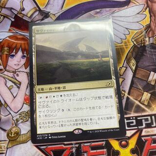 サヴァイのトライオーム