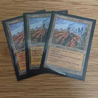 不毛の大地 3枚