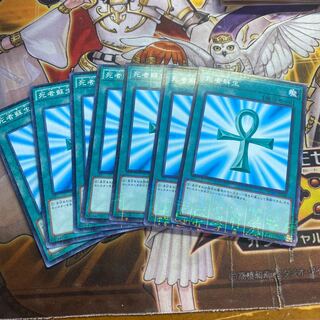 死者蘇生　ミレニアム　7枚