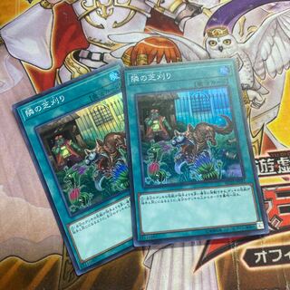 隣の芝刈り スーパーレア　2枚＋ワンフォーワン　スーパー1枚