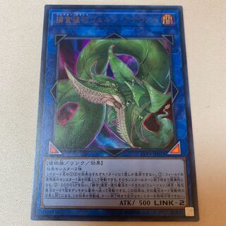 捕食植物ヴェルテ・アナコンダ ウルトラレア