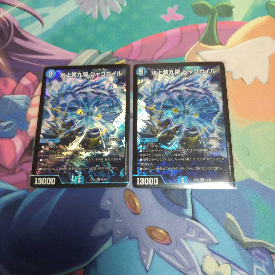 水上第九院シャコガイル2枚セットA