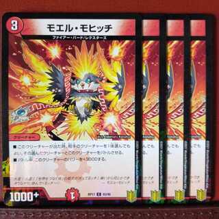 セット割引　モエル・モヒッチ