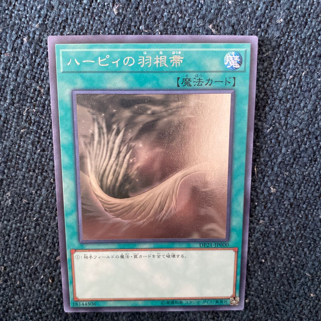 ハーピィの羽根帚　ホロ