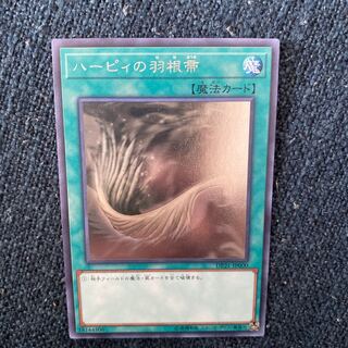 ハーピィの羽根帚　ホロ