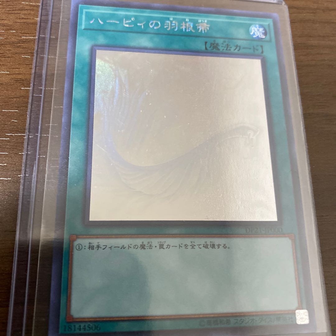 ハーピィの羽根帚　ホロ