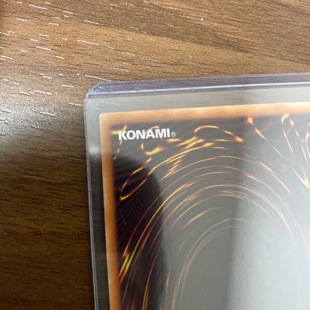 ハーピィの羽根帚　ホロ