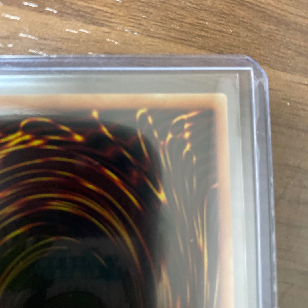 ハーピィの羽根帚　ホロ