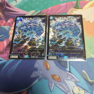 水上第九院シャコガイル2枚セットＢ