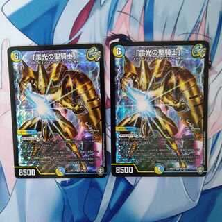 「雷光の聖騎士」2枚