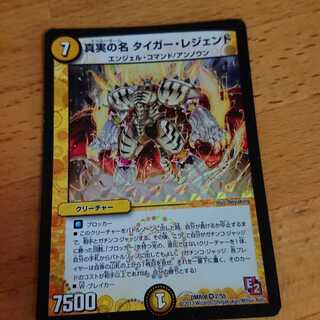 真実の名 タイガー・レジェンド VR