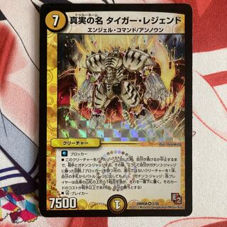 真実の名 タイガー・レジェンド