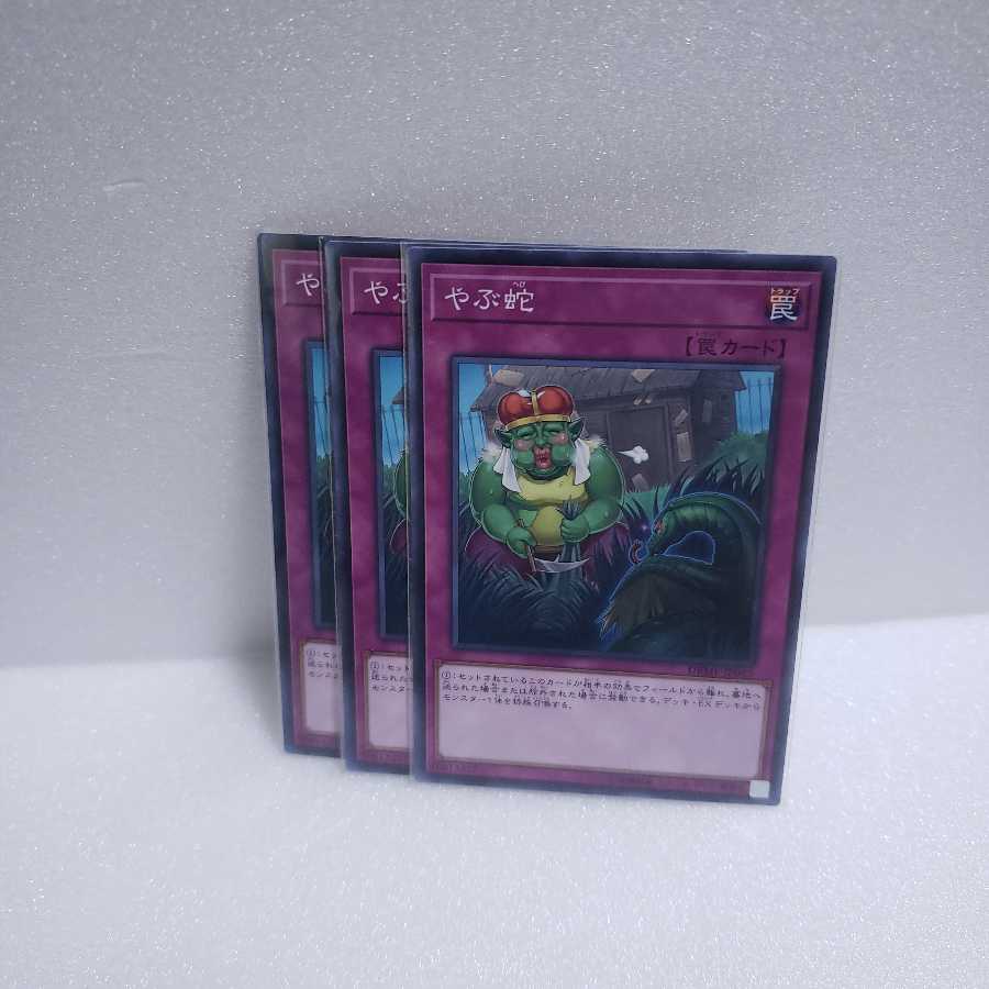 やぶ蛇 ノーマル