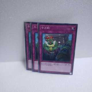 やぶ蛇 ノーマル