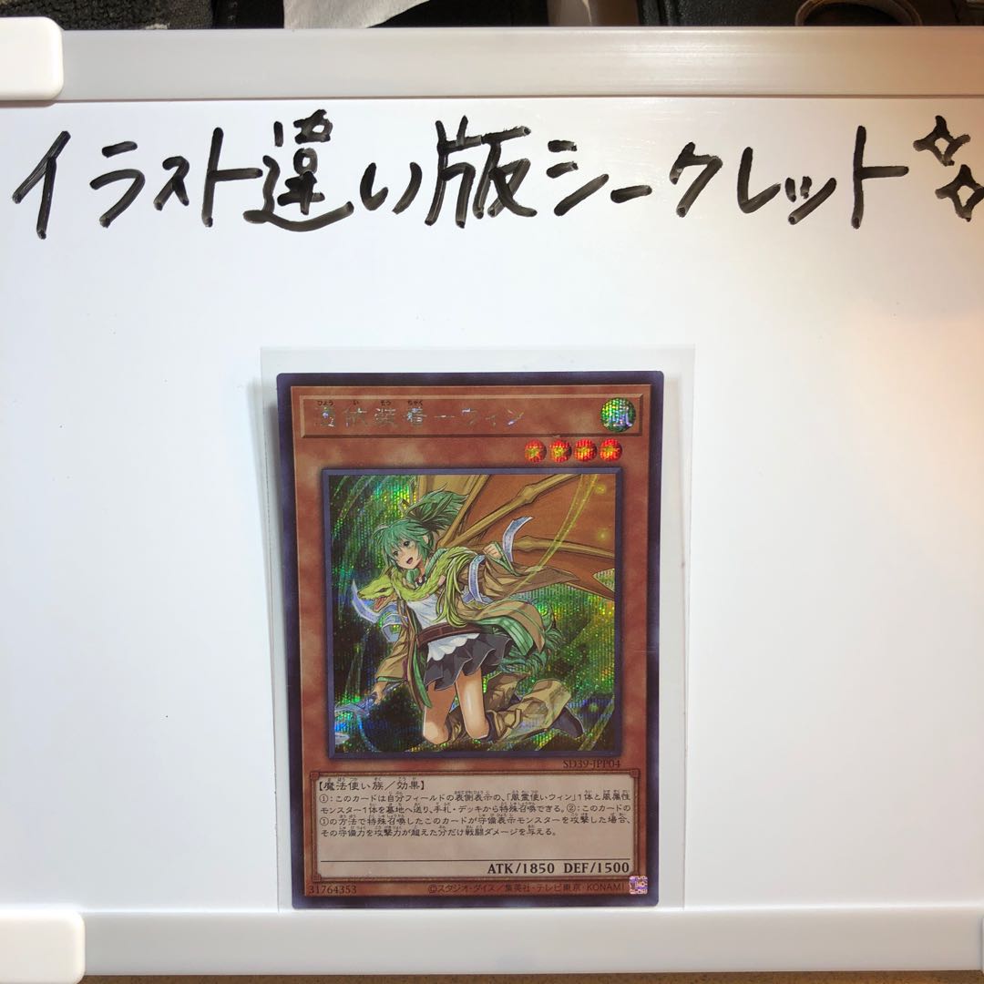 憑依装着-ウィン