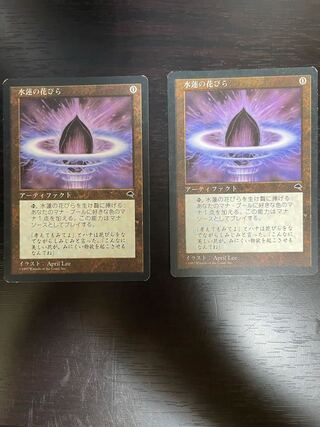 水蓮の花びら コモン