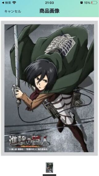 ミカサ　スリーブ