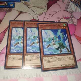 ホップ・イヤー飛行隊