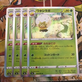 ワタシラガ　4枚セット