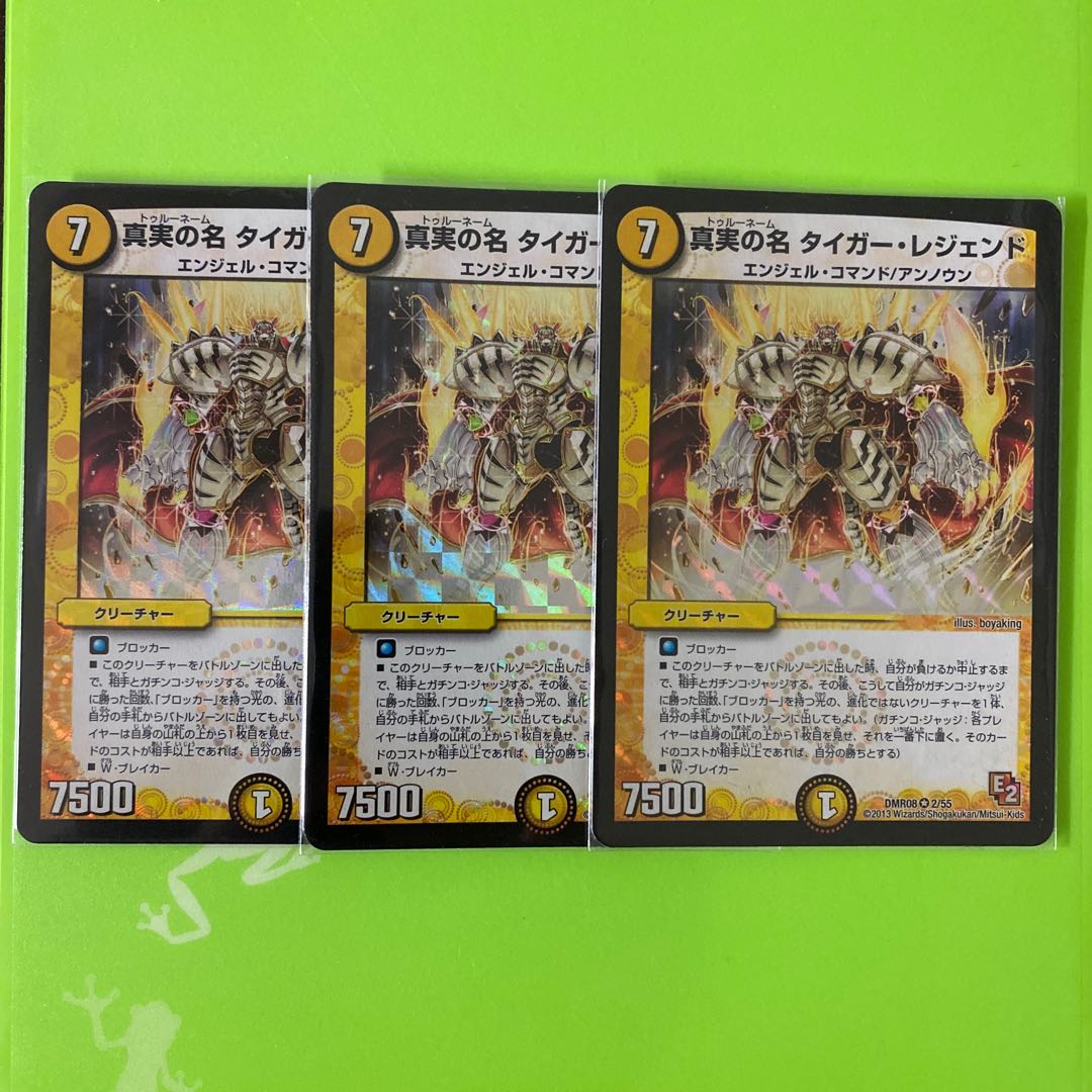 真実の名 タイガー・レジェンド