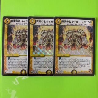 真実の名 タイガー・レジェンド