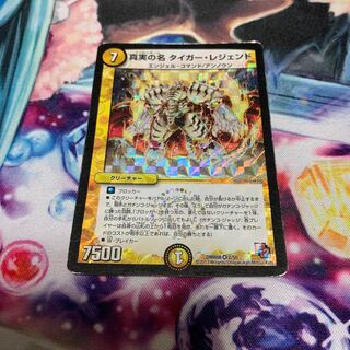 真実の名 タイガー・レジェンド