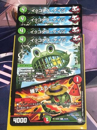 イッコダス・ケイジ｜種デスティニー