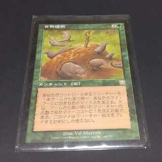 MTG 食物連鎖 日