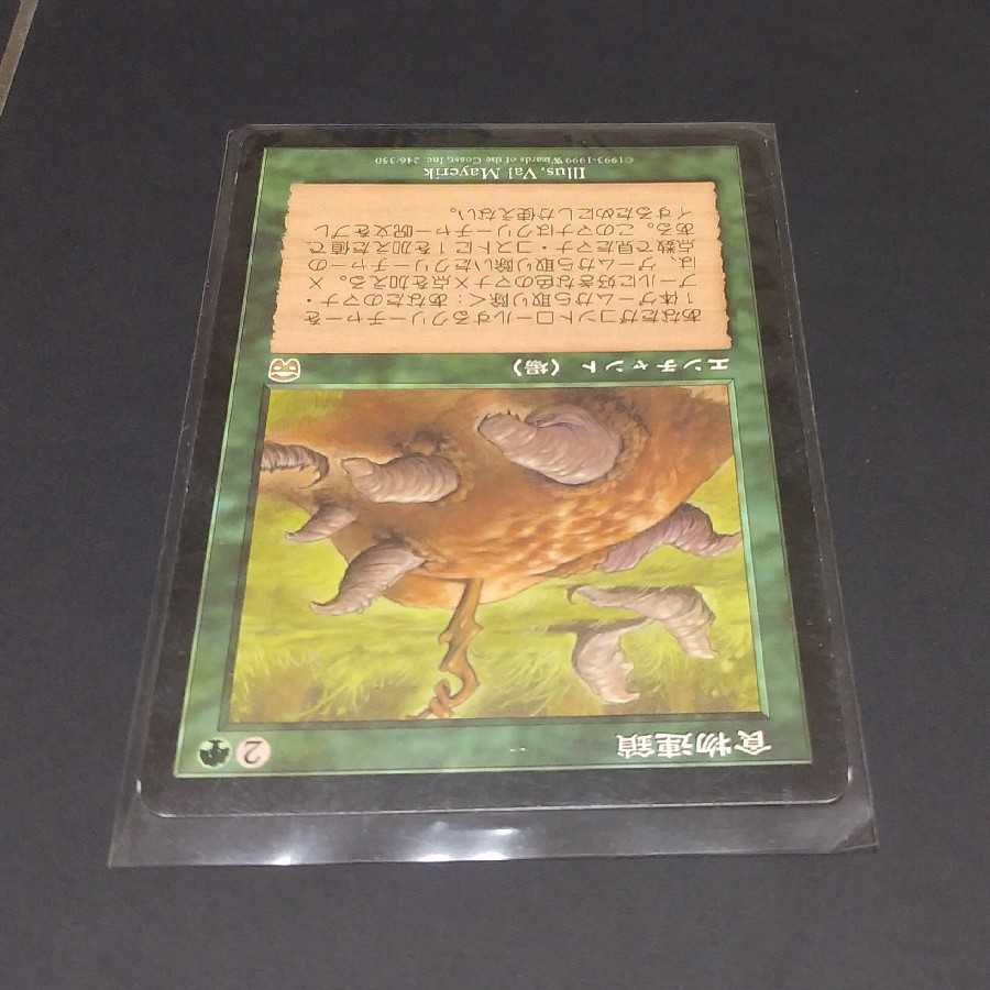 MTG 食物連鎖 日