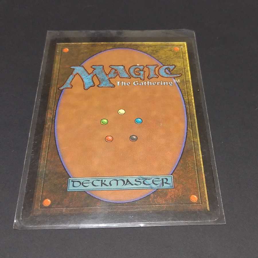 MTG 食物連鎖 日