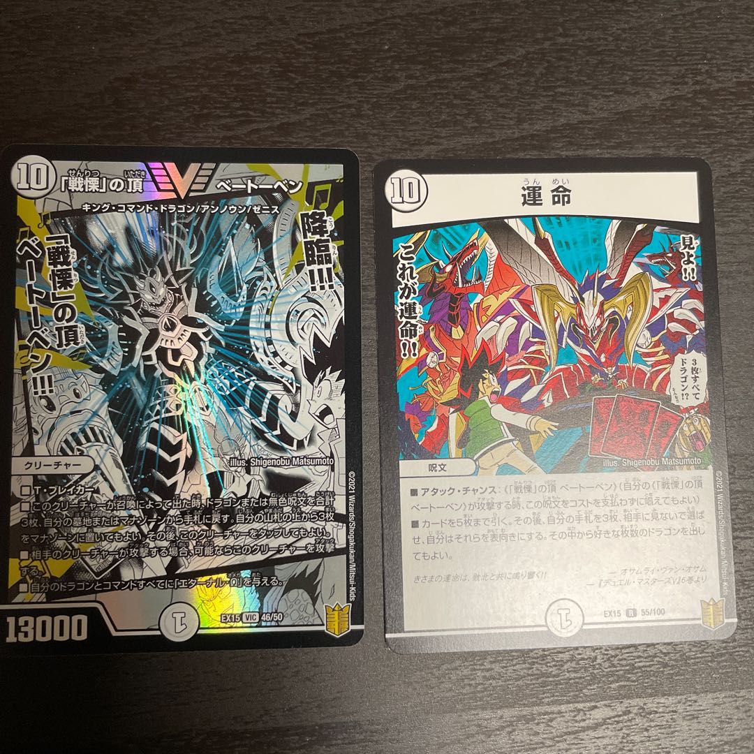 「戦慄」の頂 ベートーベン おまけ付き