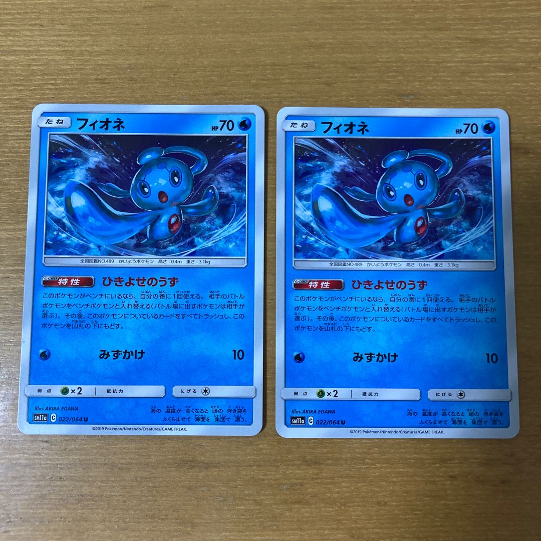 フィオネ 2枚セット