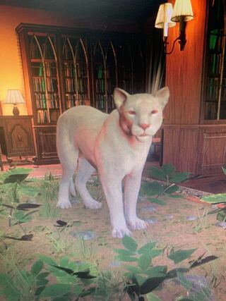 Dedicated to Mr. Rion, Liebe