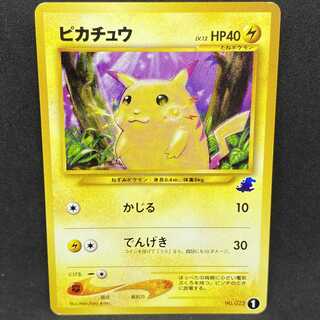 ポケモンカード 旧裏面 ピカチュウ イントロパック ワニノコ ポケモンカード 旧裏面 ピカチュウ イントロパック ワニノコ