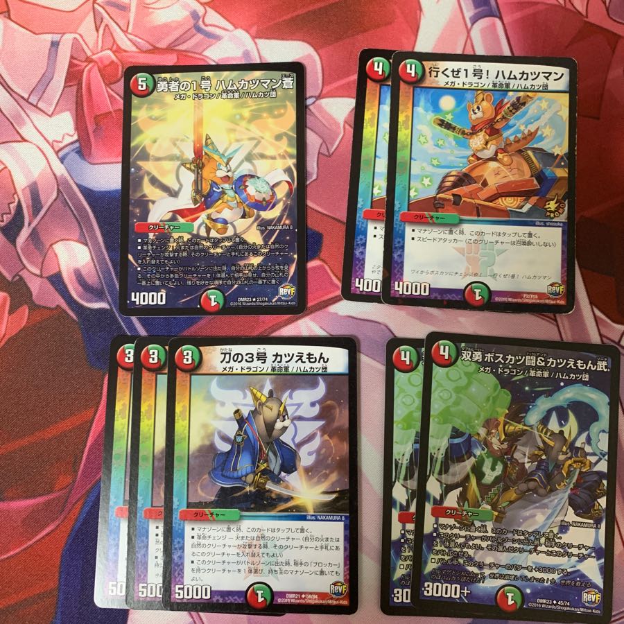 ham and pork cutlet set