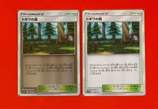 トキワの森  ミラー