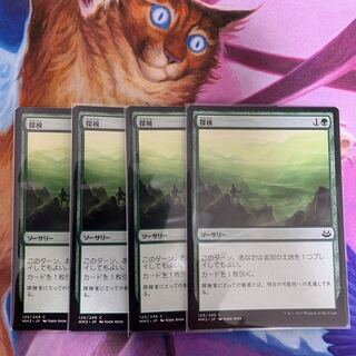 探検　日本語　4枚①