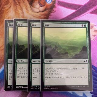 探検　日本語　4枚②