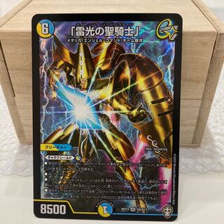 「雷光の聖騎士」ライトニング・ソード・パラディン