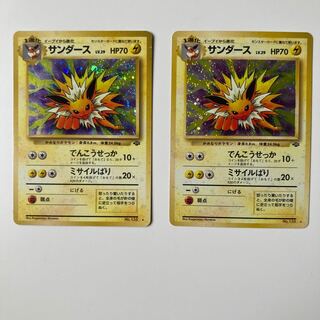 サンダース　2枚セット