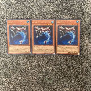 カッター・シャーク レア